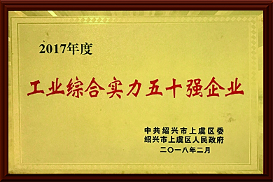 2017ICόʮI